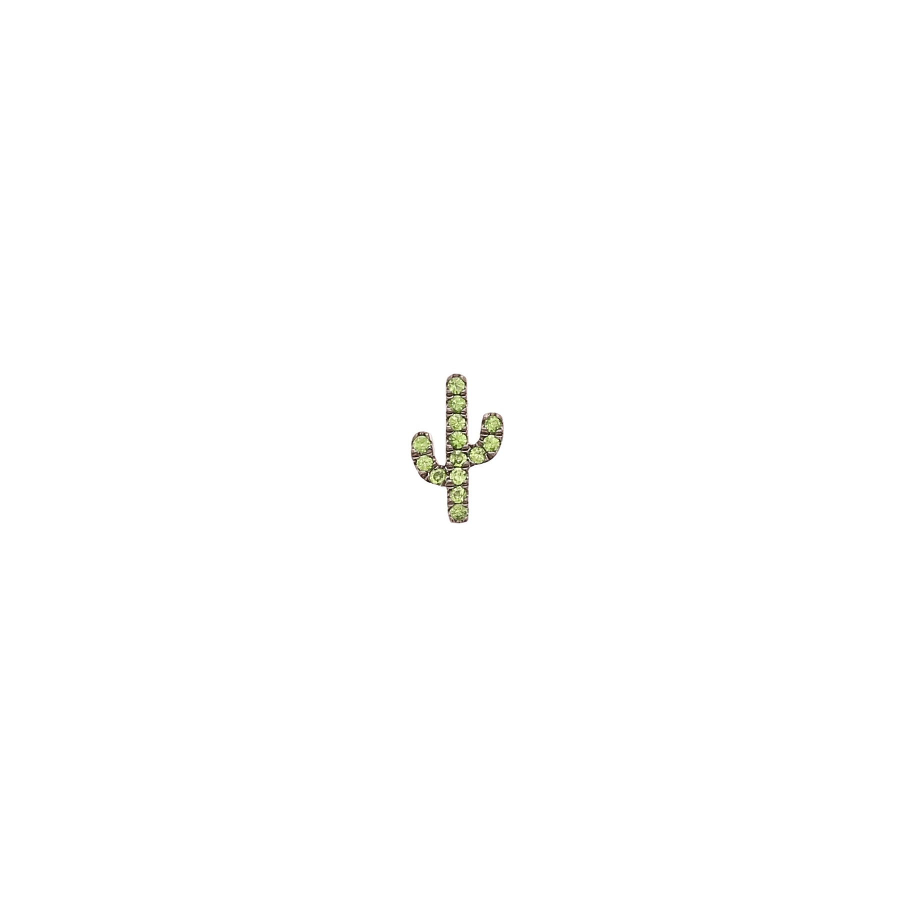 Cactus Charm