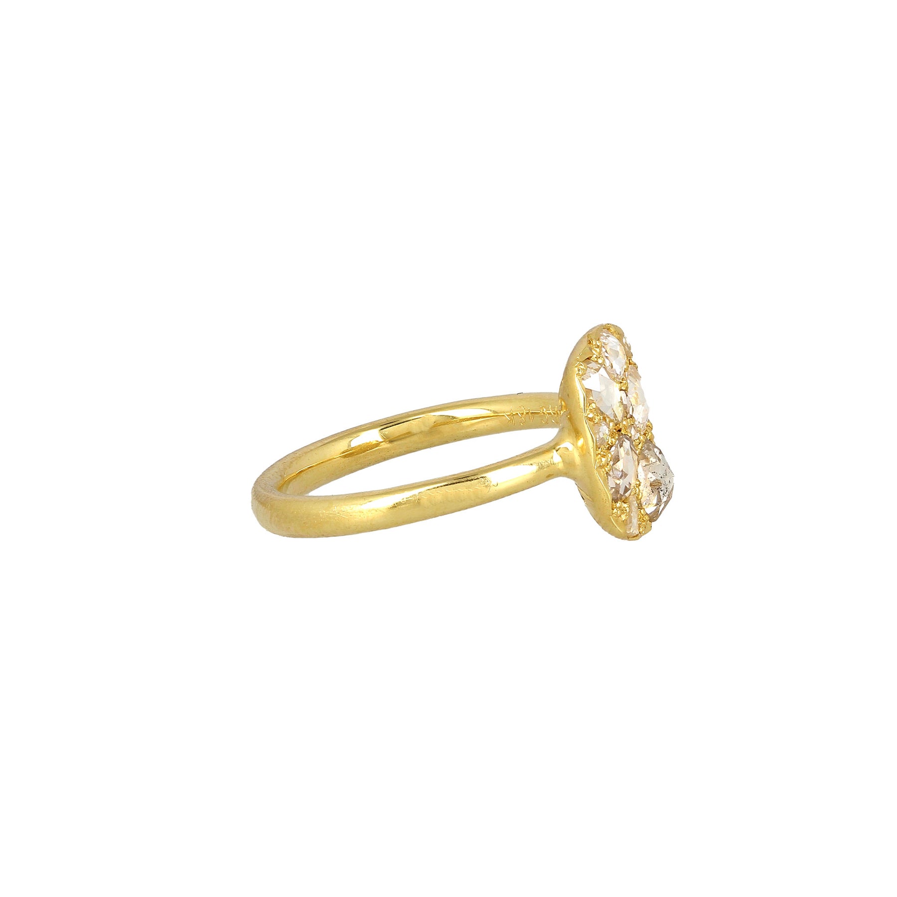Into the Wild Cushion Shaped Ring