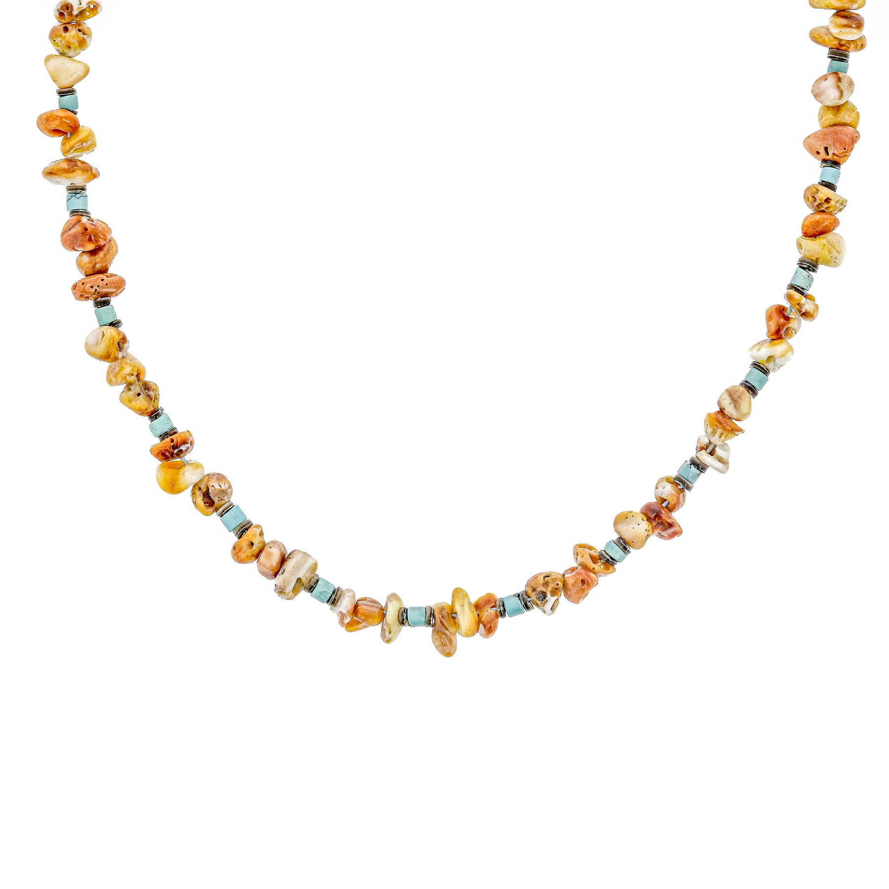Spiny and Turquoise Necklace