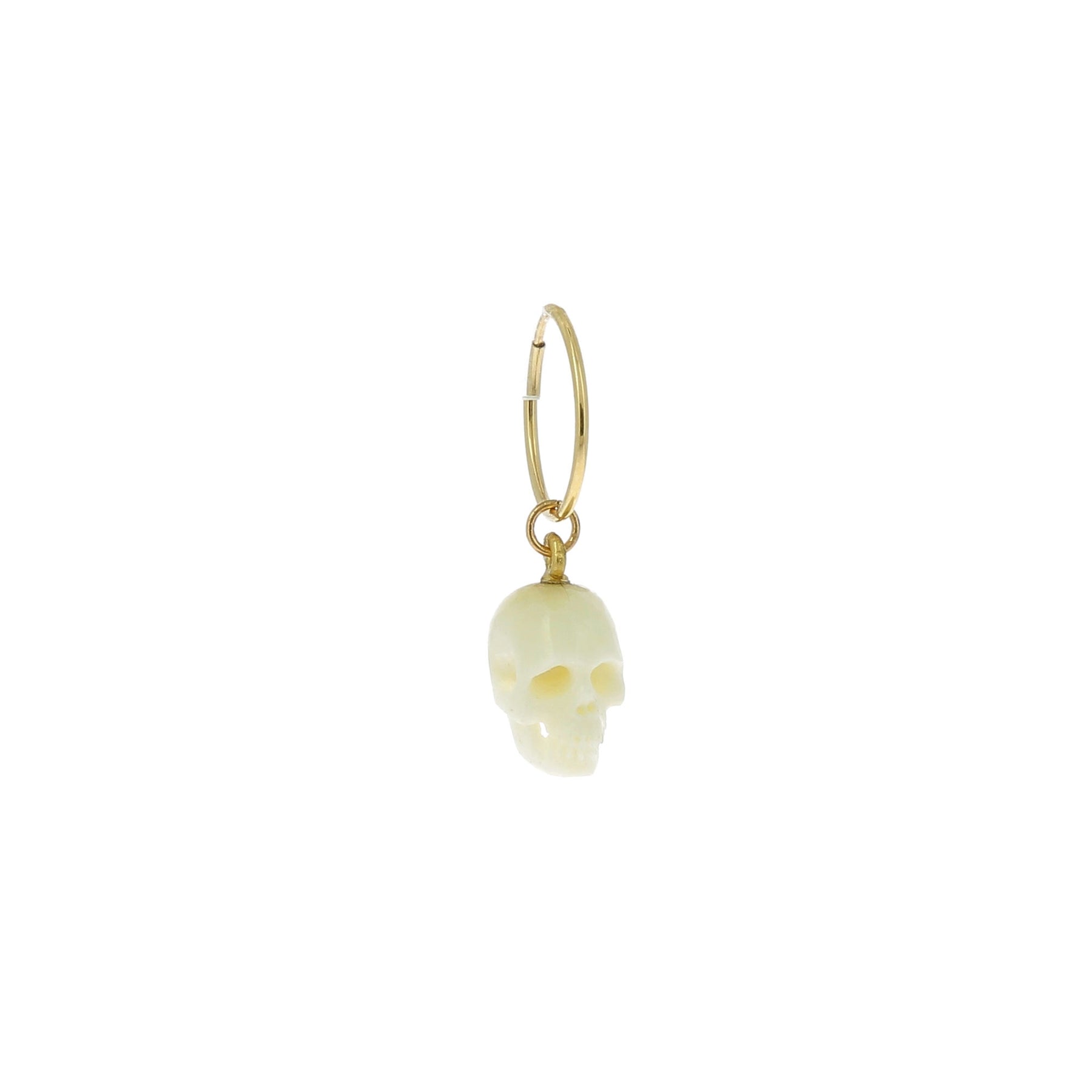White Horn Skull on Gold Loop