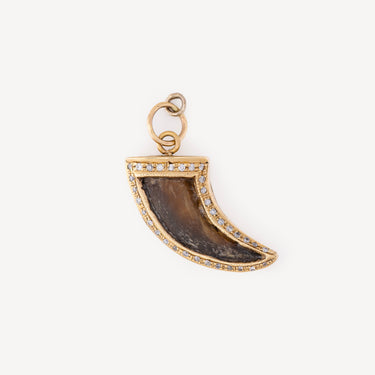 Brown Tooth pendant