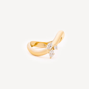 Bague Doshi Cluster N°1