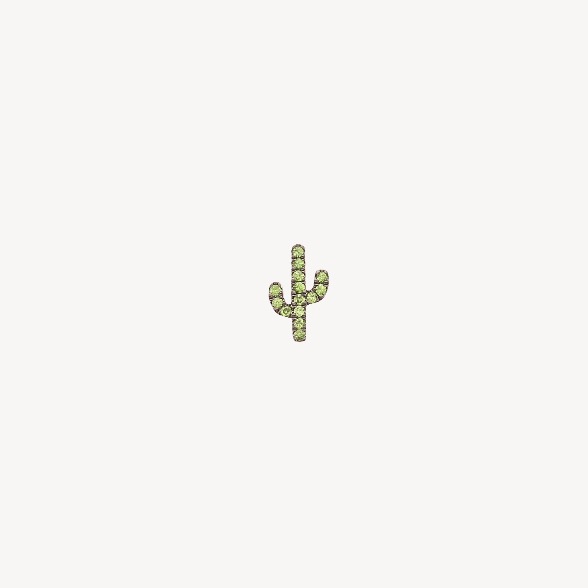 Cactus Charm