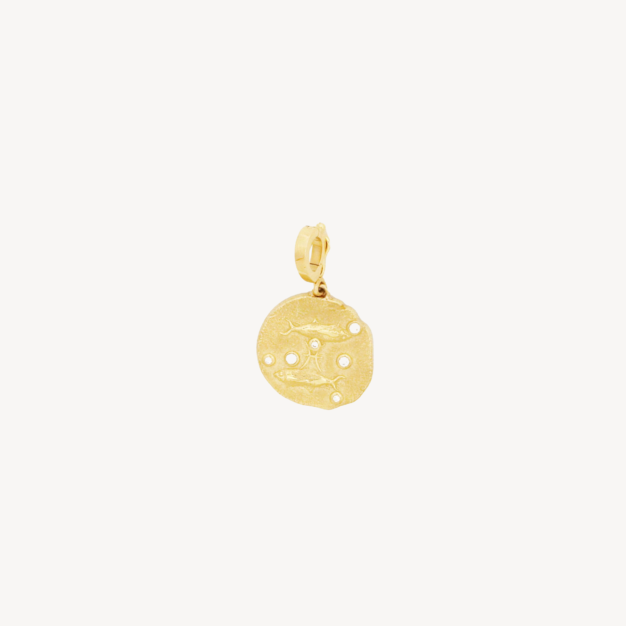 Pisces Small Coin Charm