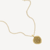Collier Médailel Etoile Lion