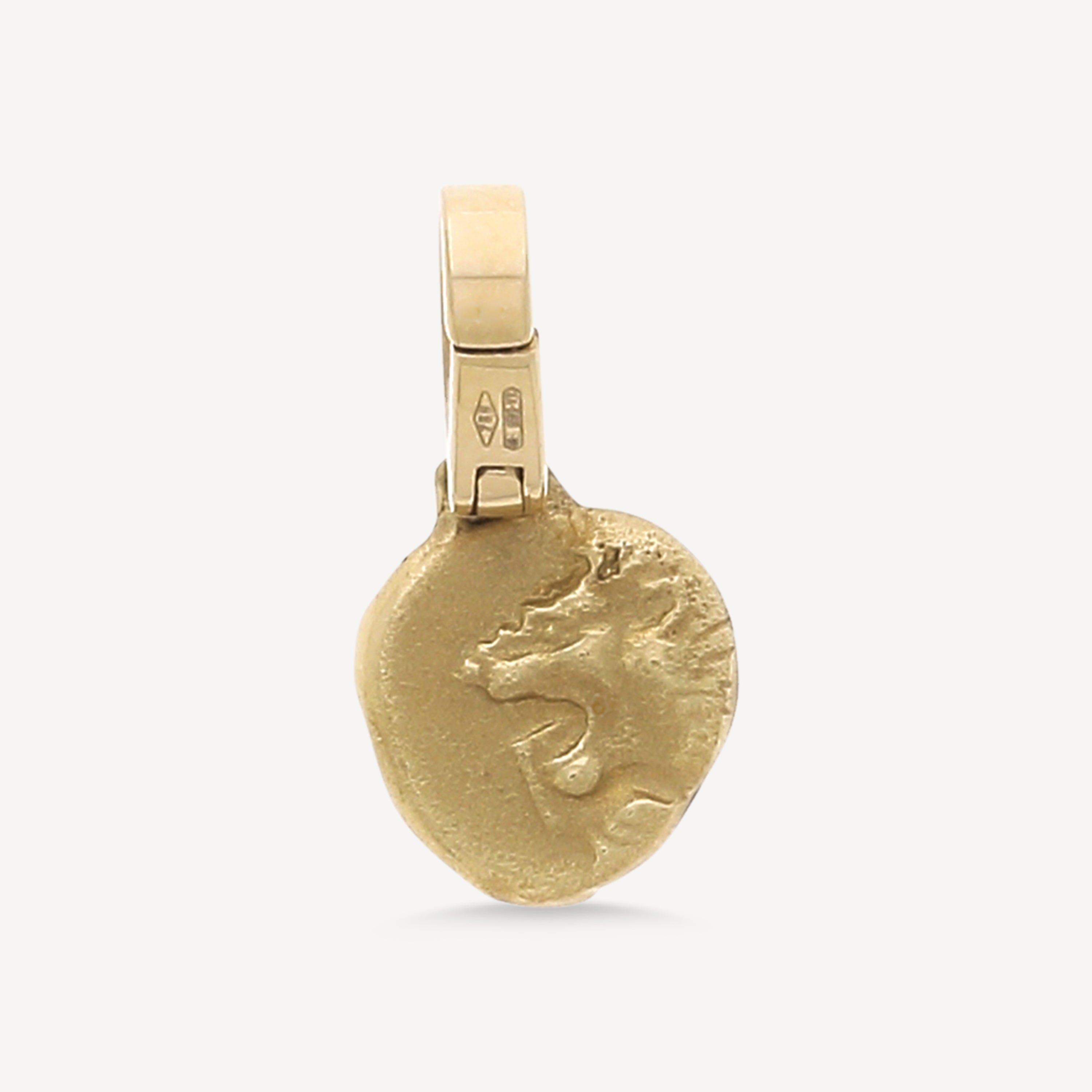 Pendentif Médaille Etoile Lion
