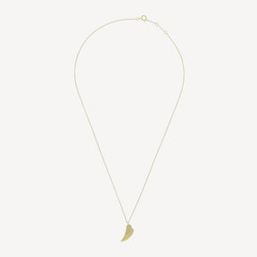 Collier Wing
