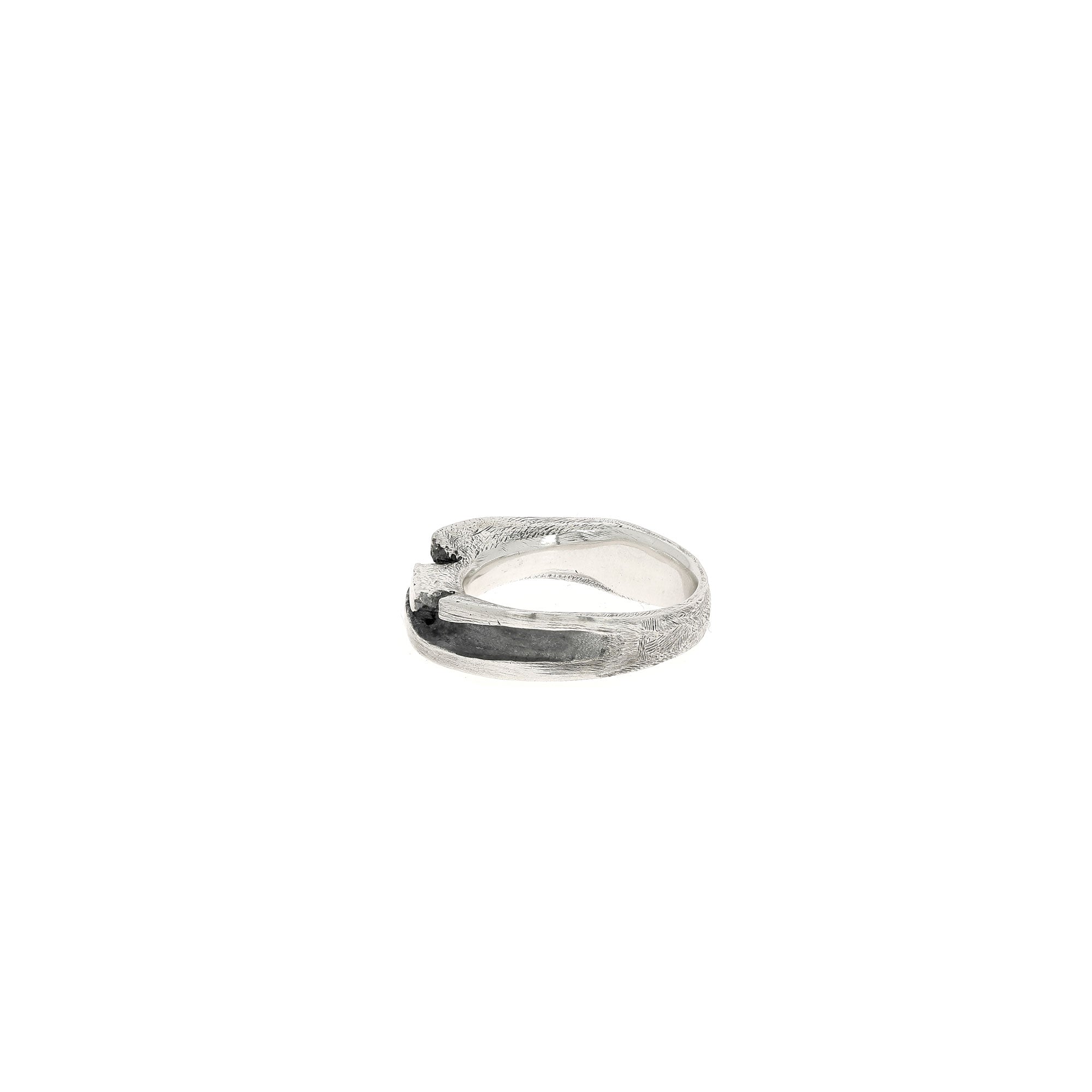 Double Crest Ring